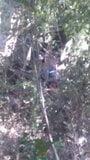 Pareja cojiendo en bosque morelia Michoacan snapshot 8