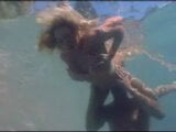 Sexo oral bajo el agua snapshot 6