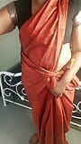 Saree Mami Seducing snapshot 2