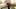 Dark Chrystal Lucas - ogromny widok z przodu dildo ze spermą