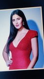 向性感的randi katrina kaif致敬 snapshot 1