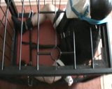 In the cage - shoe on face snapshot 4