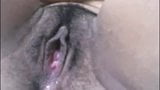 WET AND HAIRY PUSSY snapshot 3