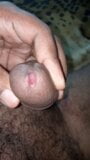 Indian Big Cock (Penis) look like Erectile Penis snapshot 3