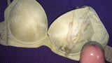 My aunt's Bra snapshot 5