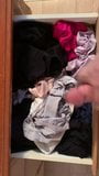 Wifes panties drawer snapshot 1