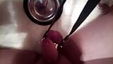 Petplay bdsm snapshot 2