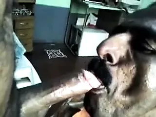 Indian Grandpa Sucking: Gay Amateur Porn | xHamster