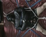 In the straitjacket and muzzle snapshot 3