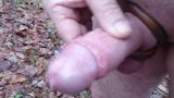 Mear y semen al aire libre snapshot 10