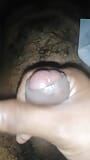 Sri lankan wife give hand and blow job to husband with dildo snapshot 8