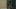 Mexicaanse dwerg neukt een 18 -jarig poesje