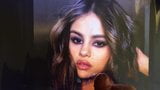 Selena Gomez tribute snapshot 9