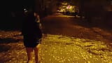 She flashing tits and undresses in a public park at night snapshot 9