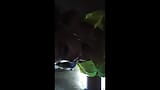 L'arrapante cagna monika fox posa in un vestito verde chiaro e gioca con un grosso giocattolo snapshot 4