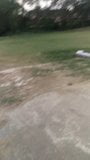 Fun in golf park snapshot 1