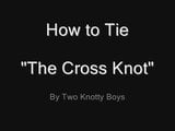 Cross Knot snapshot 1