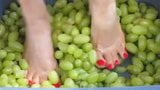 Feet with Long Red Toenails Stomping Green Grapes (I part) snapshot 3