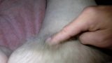 Small Penis Play Tiny Button Dick snapshot 8