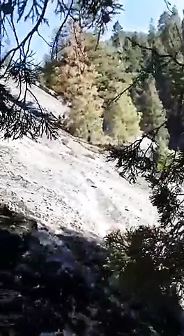 Jinsiy olatga vazelin