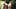 14 pollici radice - vintage schiavo bbc (colore migliorato)