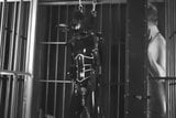 Domme and her suspended latex slave snapshot 6