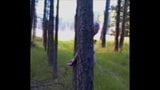 Зрелой милфе Amy приковали наручниками к дереву snapshot 2