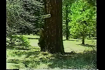 Shaved Sinners 1 (1987) | xHamster