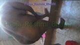 Rashmi bhabhi sous la douche snapshot 15