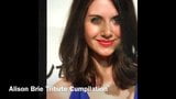 Ultimate Alison Brie Cumpilation - Nude Cum Tributes snapshot 1