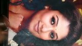 Nayanthara Cum Tribute snapshot 8