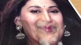 Madhuri dixit cum tribute snapshot 9