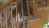 Татуйований чувак і лисиця азіатська бомба мають гарячий трах на сходах snapshot 1