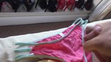 Special wank into panties snapshot 2