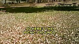 A Miracle I Wasn't Caught Jacking In A Public Park 2013 snapshot 3