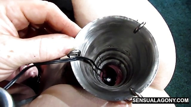 Using a machine to teach submissive behavior? It sounds like an interesting concept. Can you elaborate on it further and provide more details about the process of learning discipline through a machine?