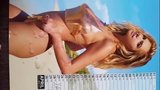 Sperma eerbetoon compilatie Kate Upton snapshot 5