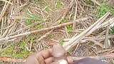 Land urine in sugarcane field hand and job mudhe mare snapshot 3