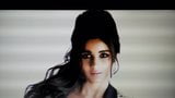 Alia Bhatt Tirbute snapshot 5