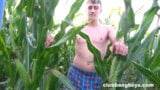 Getting corny in the corn field snapshot 2