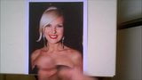 Tribute to swedish singer Sanna Nielsen snapshot 3