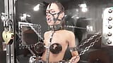 Compilation de fétiche BDSM, bondage en 3D snapshot 13