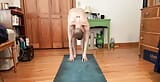 Just in Case You Missed My Yoga Routine This Morning snapshot 3