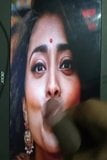 Shreya Saran Bollywood Actress Nasty Cocking Tribute snapshot 4