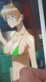 SOP Rei Miyamoto (Highschool of the Dead) snapshot 9