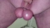 Micro Cock FingeredSquirting Cum from Tied Balls Slo-Mo... snapshot 14