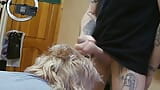 Stepmom ignores my cock and I cum on her hair snapshot 15