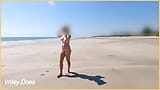 Wifey goes to the beach and walks around fully nude for everyone to see snapshot 9