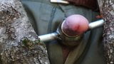 Masturbationswald im Herbst 2 snapshot 14