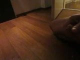 Cumshot in slow motion finals masturbation 2 snapshot 3